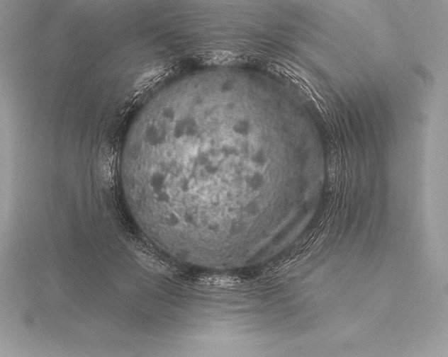 X0000115550503200911201804