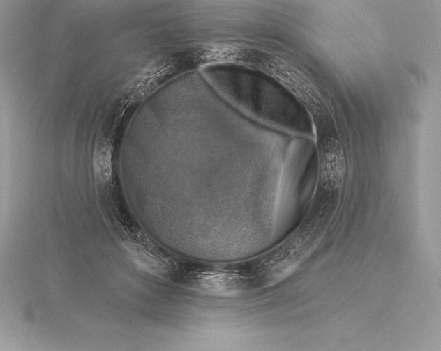 X0000115550504200911201803