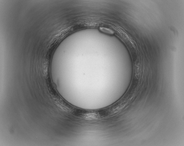 X0000115550505200911201803