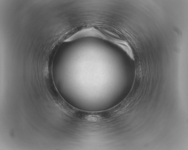 X0000115550508200911201803