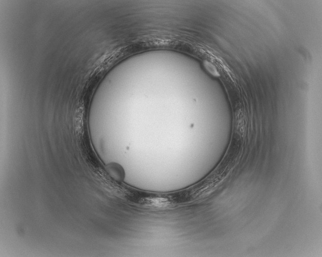 X0000115550509200911201803