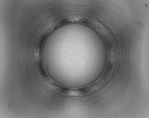 X0000115550510200911201803