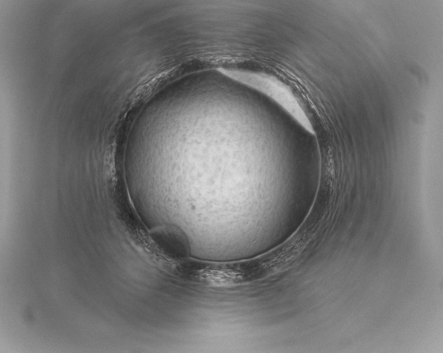 X0000115550512200911201803