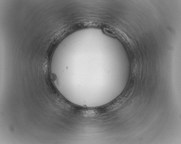 X0000115550513200911201803