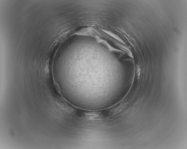 X0000115550516200911201803