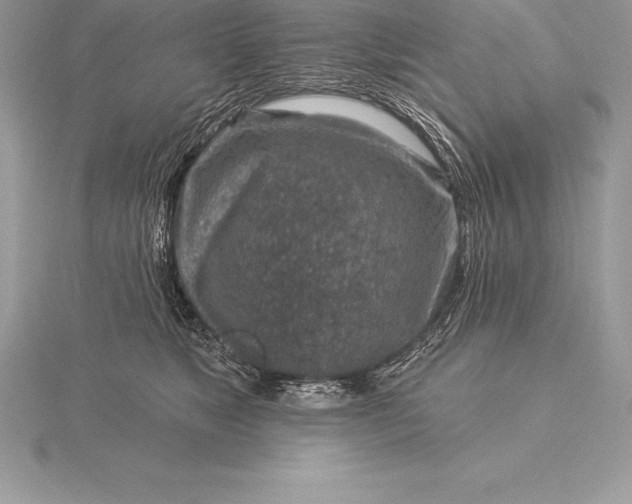 X0000115550517200911201803