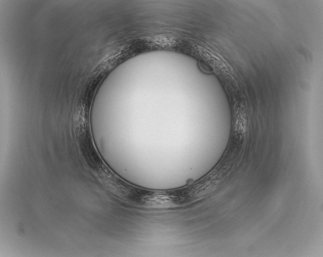 X0000115550518200911201803