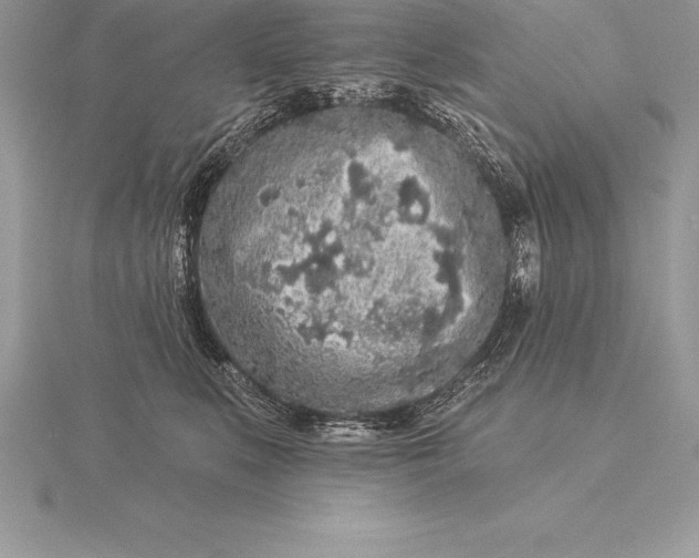 X0000115550519200911201803