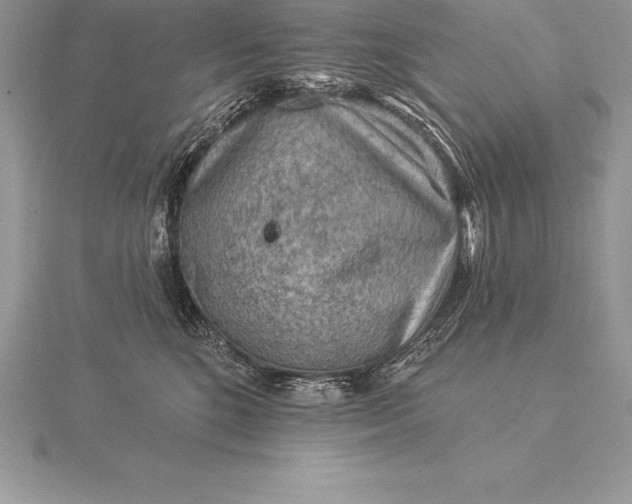 X0000115550520200911201803