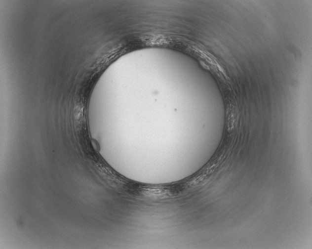 X0000115550521200911201803