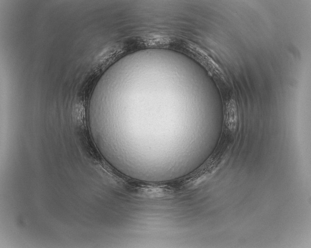 X0000115550523200911201803