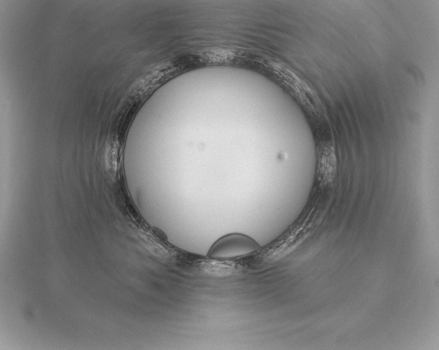 X0000115550525200911201803