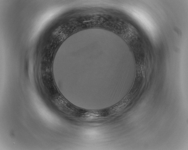 X0000115550526200911201803