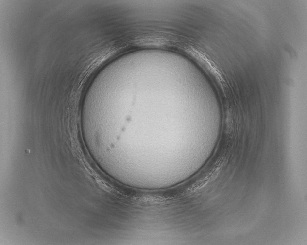 X0000115550529200911201802