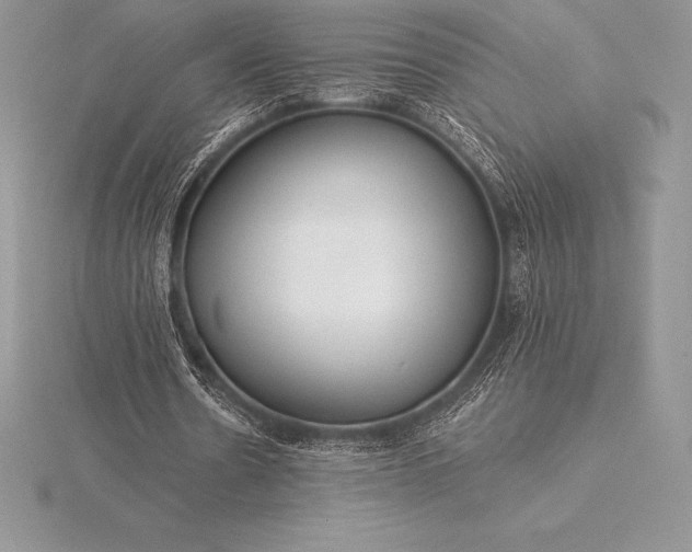 X0000115550530200911201802