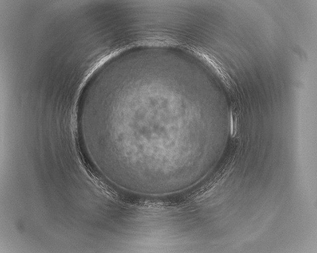 X0000115550531200911201802