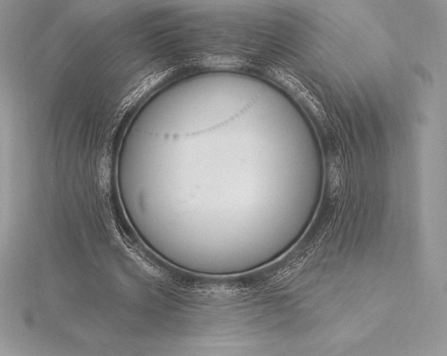 X0000115550533200911201803