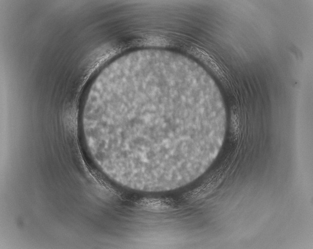 X0000115550534200911201803