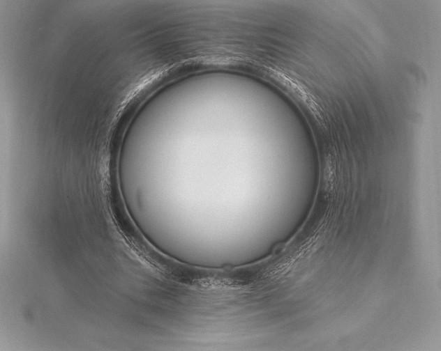 X0000115550535200911201803