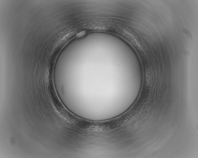 X0000115550538200911201803