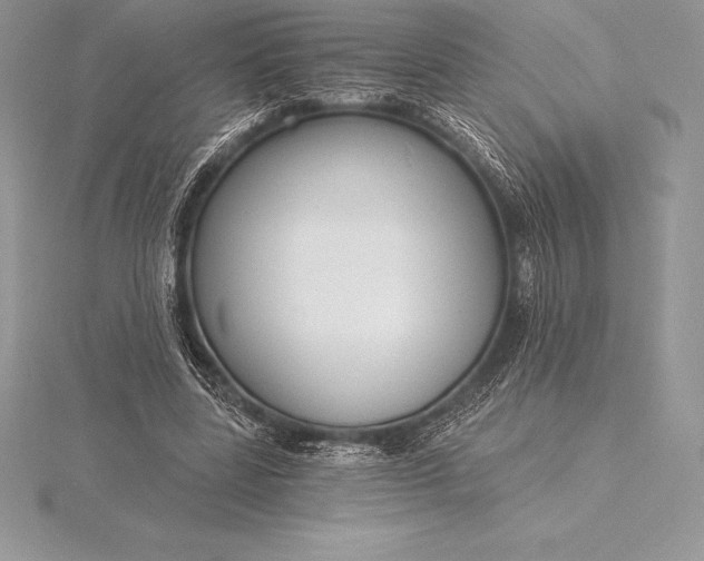 X0000115550539200911201803