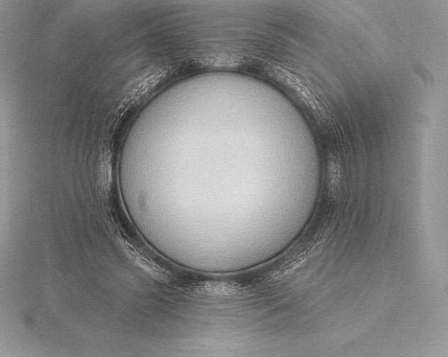 X0000115550541200911201803