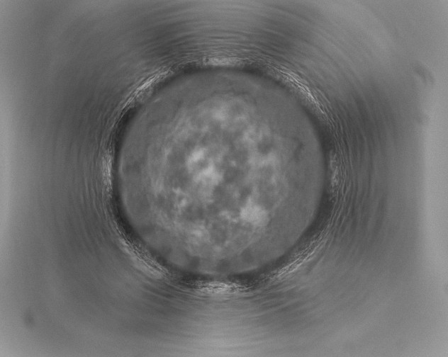 X0000115550542200911201803