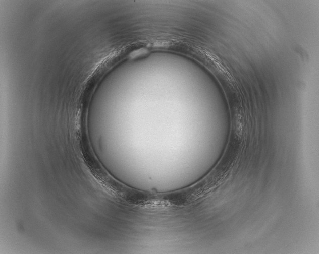 X0000115550543200911201803