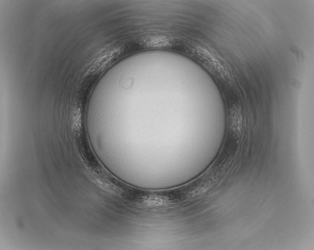 X0000115550549200911201803