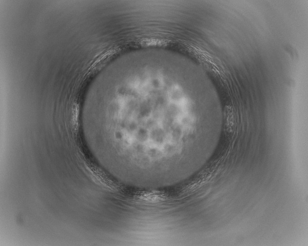 X0000115550550200911201803