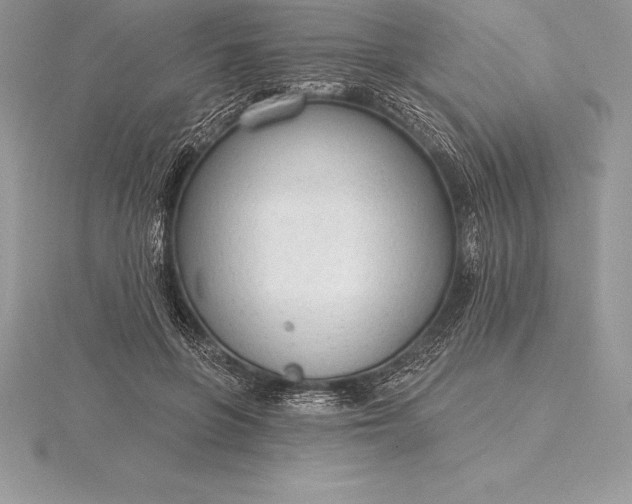 X0000115550551200911201803