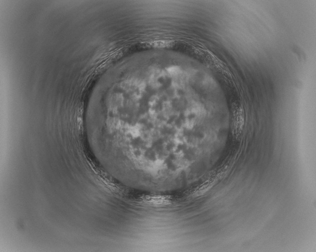 X0000115550553200911201803