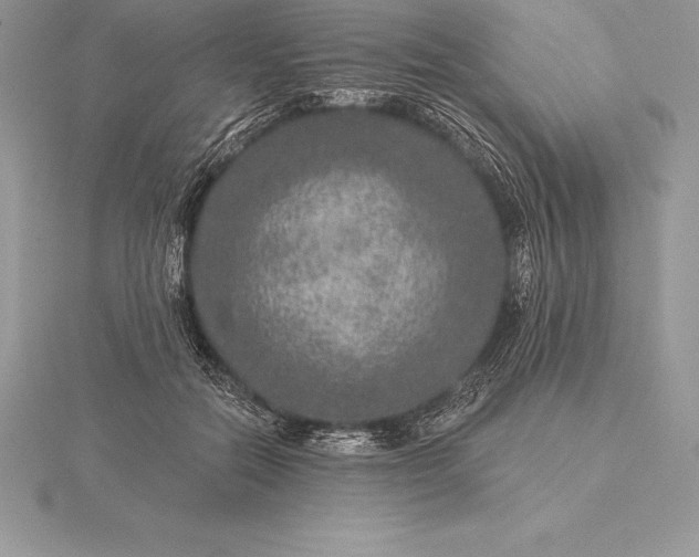 X0000115550554200911201803