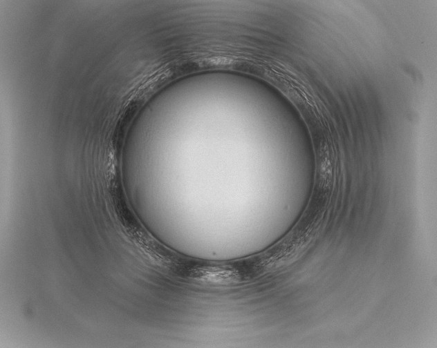 X0000115550555200911201803