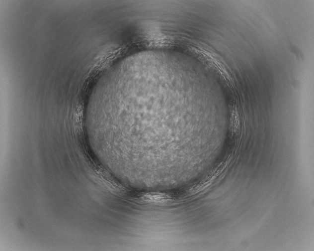 X0000115550557200911201803