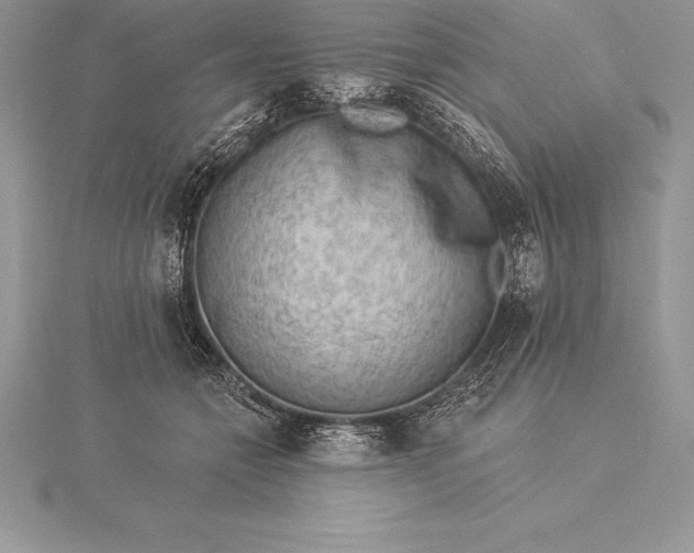 X0000115550558200911201803