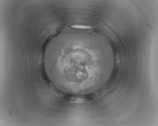 X0000115550559200911201803