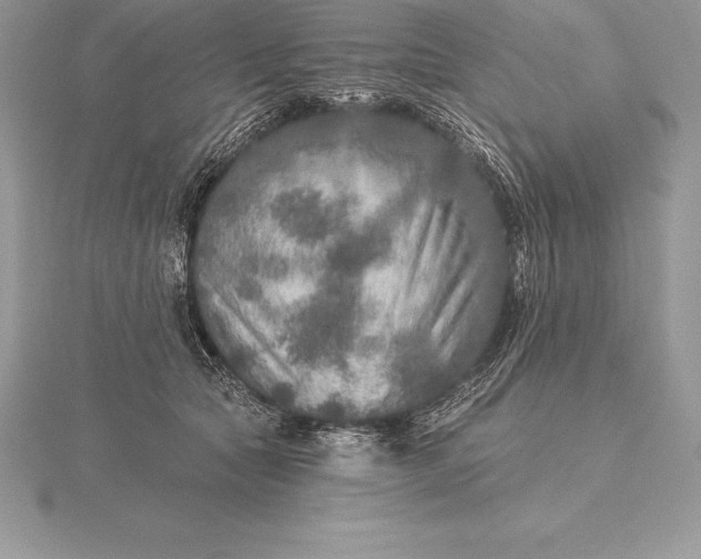 X0000115550561200911201803