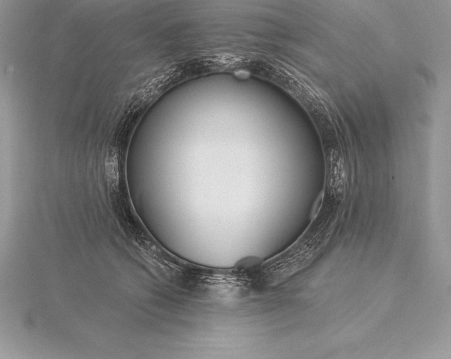 X0000115550562200911201803