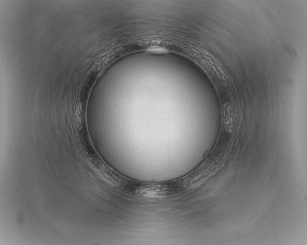 X0000115550563200911201803