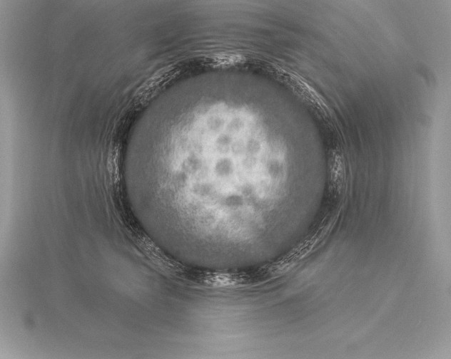 X0000115550565200911201803