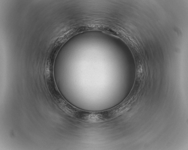 X0000115550566200911201803