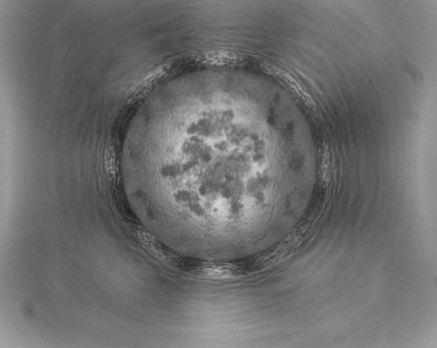 X0000115550569200911201803