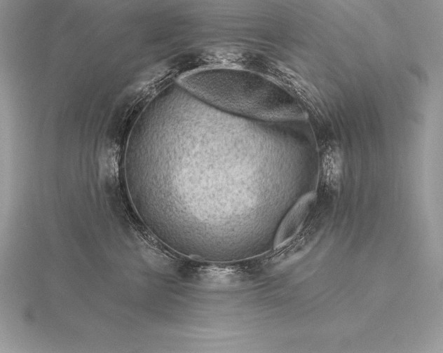 X0000115550570200911201803