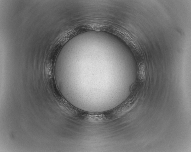 X0000115550571200911201803