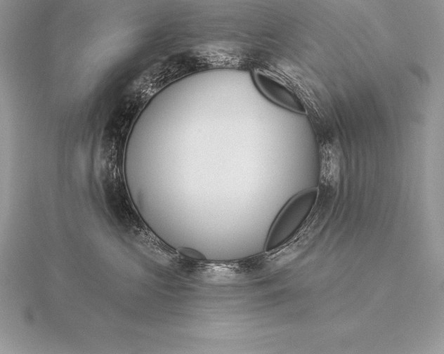 X0000115550573200911201803