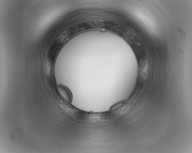 X0000115550574200911201803