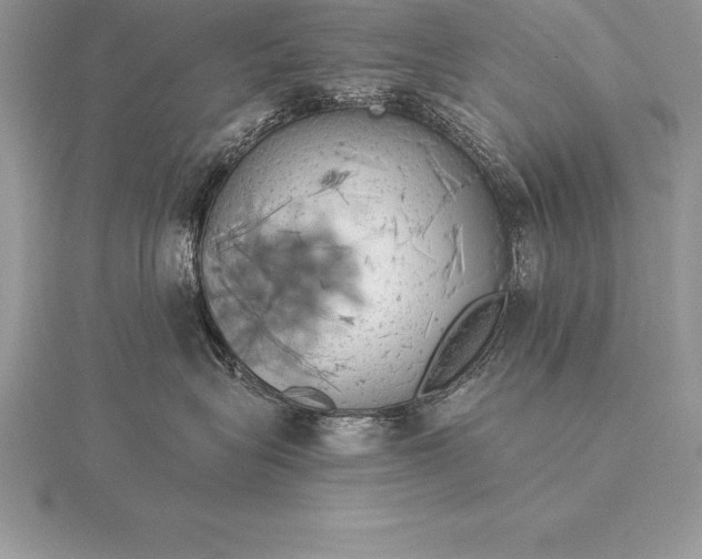 X0000115550575200911201803