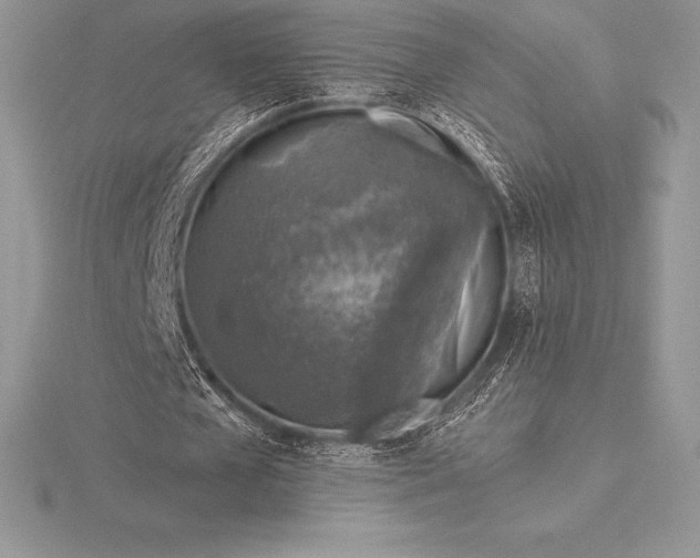 X0000115550577200911201802