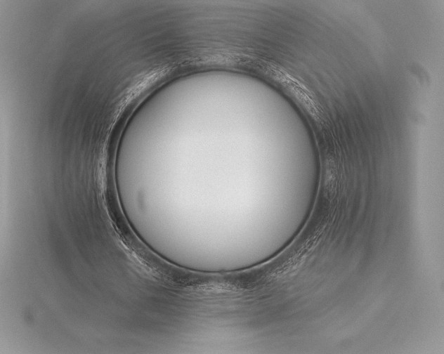 X0000115550578200911201802